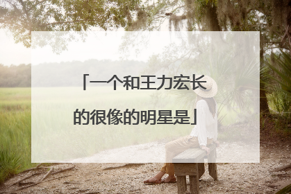 一个和王力宏长的很像的明星是