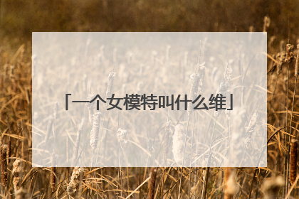 一个女模特叫什么维