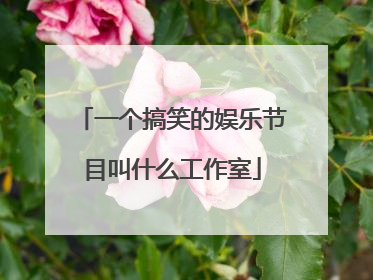 一个搞笑的娱乐节目叫什么工作室