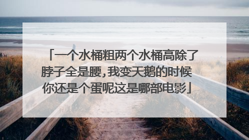 一个水桶粗两个水桶高除了脖子全是腰,我变天鹅的时候你还是个蛋呢这是哪部电影