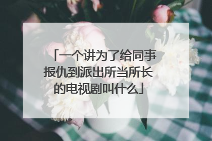 一个讲为了给同事报仇到派出所当所长的电视剧叫什么