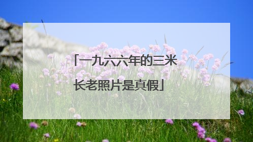一九六六年的三米长老照片是真假