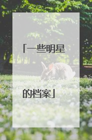 一些明星的档案