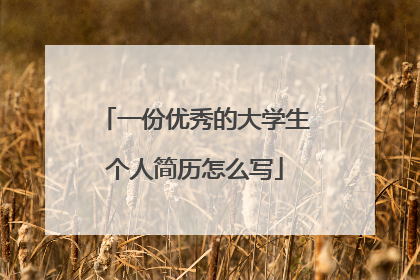 一份优秀的大学生个人简历怎么写