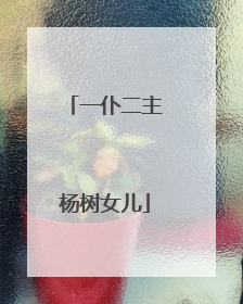 一仆二主杨树女儿