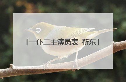 一仆二主演员表 靳东