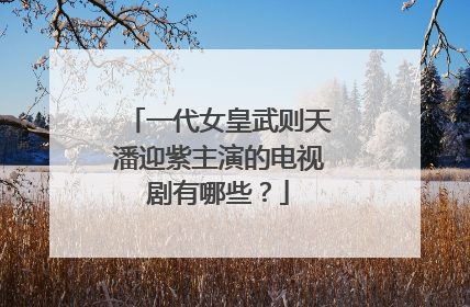一代女皇武则天潘迎紫主演的电视剧有哪些?