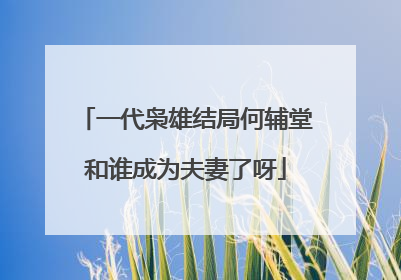 一代枭雄结局何辅堂和谁成为夫妻了呀