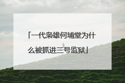 一代枭雄何埔堂为什么被抓进三号监狱