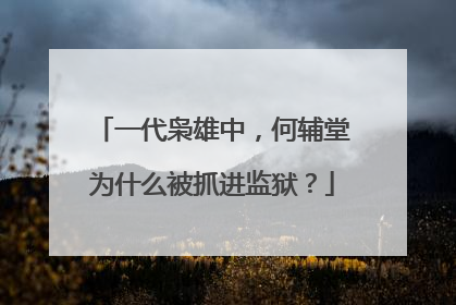 一代枭雄中，何辅堂为什么被抓进监狱？