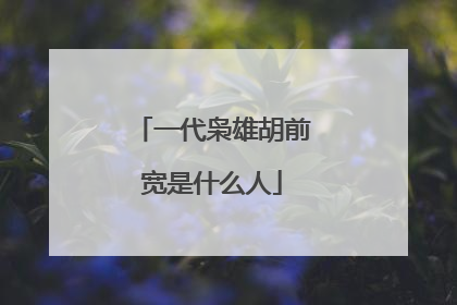 一代枭雄胡前宽是什么人