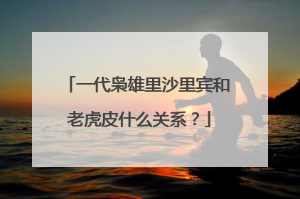一代枭雄里沙里宾和老虎皮什么关系?