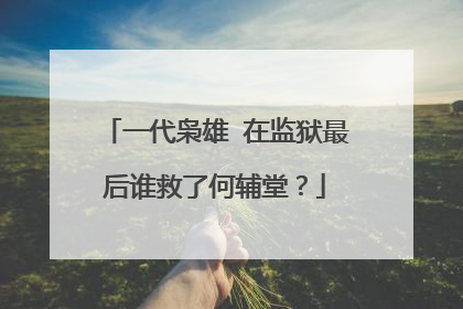 一代枭雄 在监狱最后谁救了何辅堂？