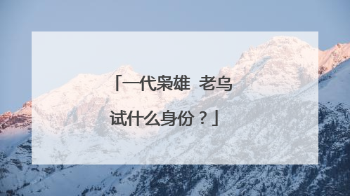 一代枭雄 老乌试什么身份?