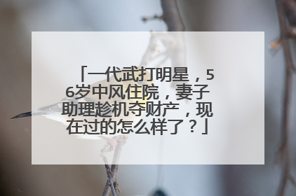 一代武打明星，56岁中风住院，妻子助理趁机夺财产，现在过的怎么样了？