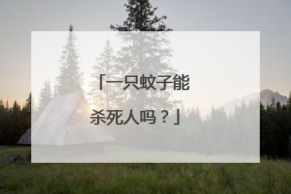 一只蚊子能杀死人吗？