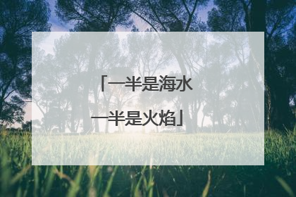 一半是海水一半是火焰