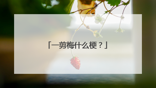 一剪梅什么梗？