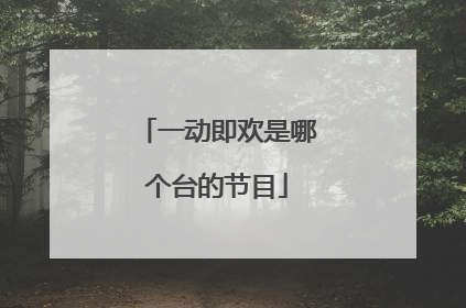 一动即欢是哪个台的节目