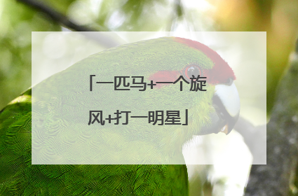 一匹马+一个旋风+打一明星