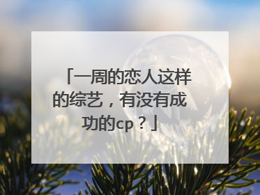 一周的恋人这样的综艺,有没有成功的cp?