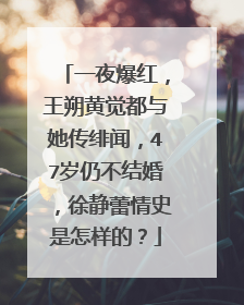 一夜爆红,王朔黄觉都与她传绯闻,47岁仍不结婚,徐静蕾情史是怎样的?