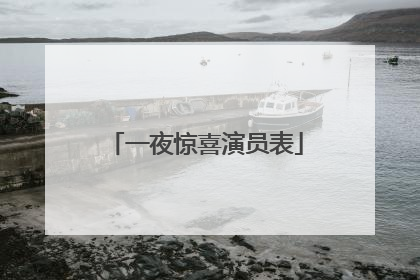 一夜惊喜演员表