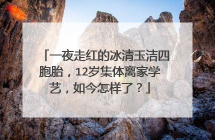 一夜走红的冰清玉洁四胞胎,12岁集体离家学艺,如今怎样了?