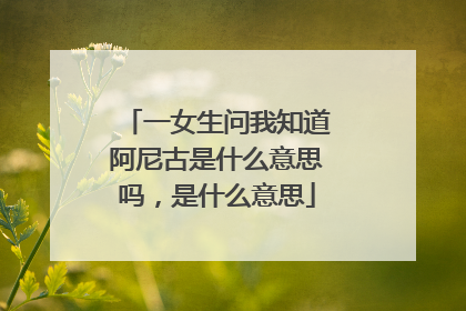 一女生问我知道阿尼古是什么意思吗，是什么意思