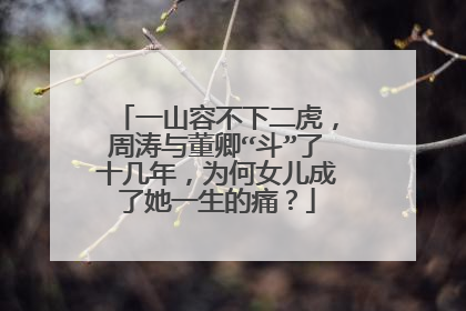 一山容不下二虎,周涛与董卿“斗”了十几年,为何女儿成了她一生的痛?