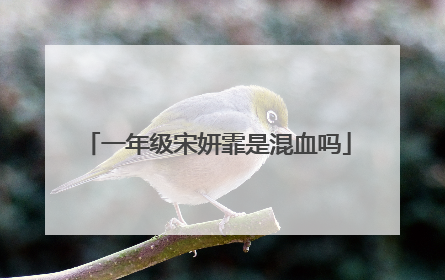 一年级宋妍霏是混血吗