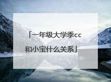 一年级大学季cc和小宝什么关系