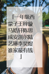 一年级西蒙子王梓璇马皓轩陈思成安淇尔陆艺琳李昊煜谁家最有钱