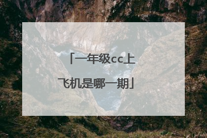 一年级cc上飞机是哪一期