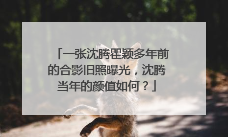一张沈腾瞿颖多年前的合影旧照曝光，沈腾当年的颜值如何？