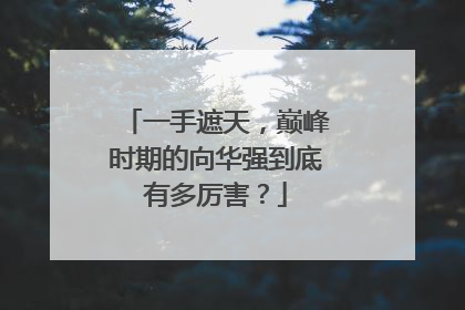 一手遮天,巅峰时期的向华强到底有多厉害?