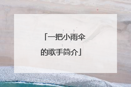 一把小雨伞的歌手简介