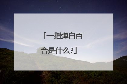 一指弹白百合是什么?