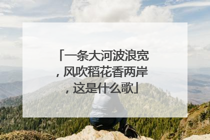 一条大河波浪宽，风吹稻花香两岸，这是什么歌