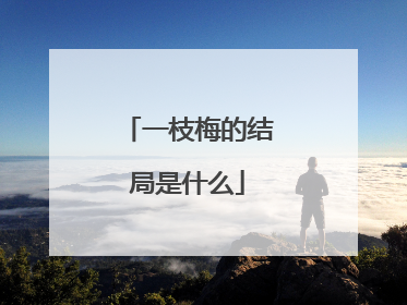 一枝梅的结局是什么