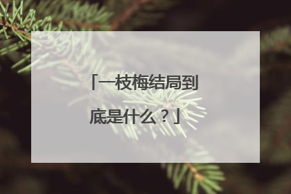 一枝梅结局到底是什么?