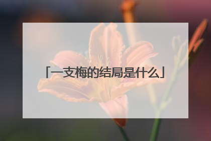 一支梅的结局是什么