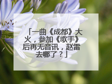一曲《成都》大火，参加《歌手》后再无音讯，赵雷去哪了？