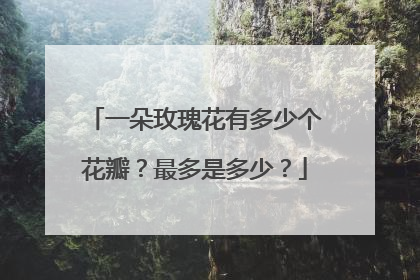 一朵玫瑰花有多少个花瓣？最多是多少？