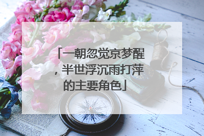 一朝忽觉京梦醒，半世浮沉雨打萍的主要角色