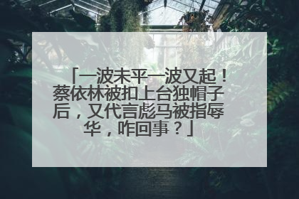 一波未平一波又起！蔡依林被扣上台独帽子后，又代言彪马被指辱华，咋回事？