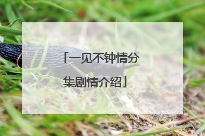 一见不钟情分集剧情介绍