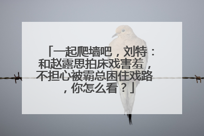 一起爬墙吧,刘特:和赵露思拍床戏害羞,不担心被霸总困住戏路,你怎么看?