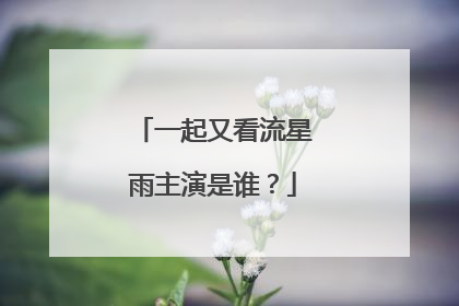 一起又看流星雨主演是谁？
