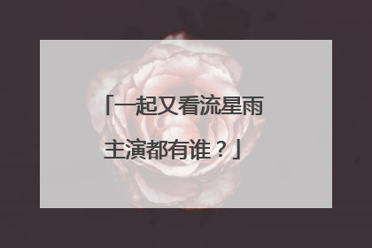 一起又看流星雨主演都有谁?